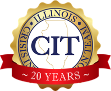 CIT 20th Anniversary Logo